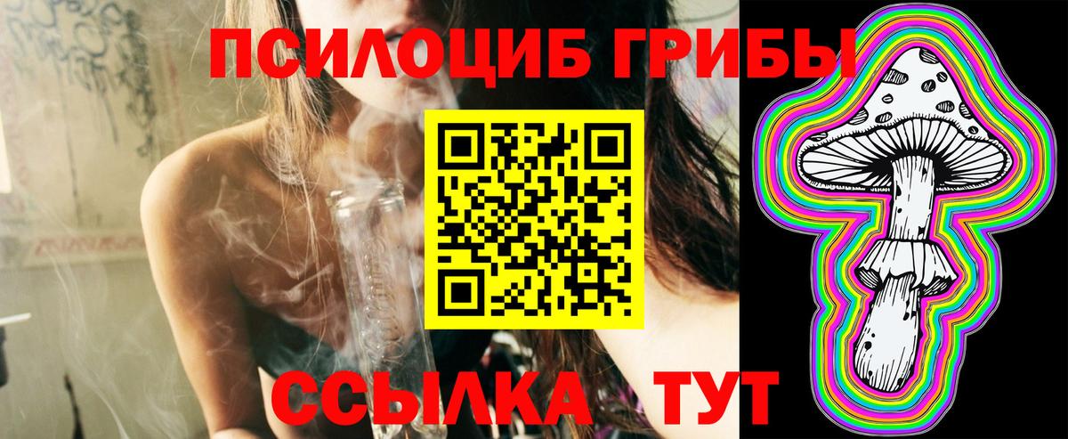 Галлюциногенные грибы Cubensis Топки